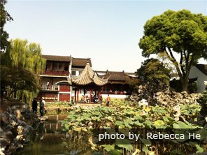 Lion grove