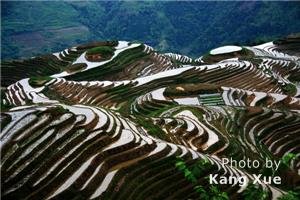 Longji Terrace