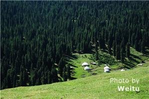 Nanshan Pasture with Kazakh yurts