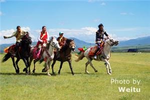horse racing