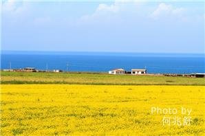 qinghai lake