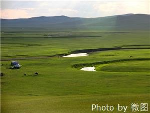 the hulun buir grassland