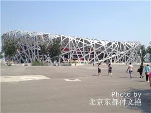 Bird's Nest