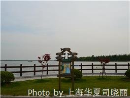 Chongmingdao