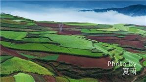 dongchuan red land