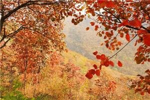 Top Nine Hiking Mountains around Beijing