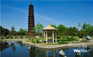 Iron Pagoda