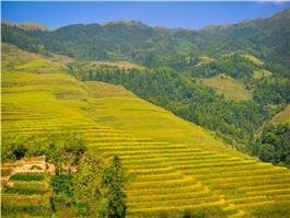 jinkeng