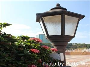 kowloon park