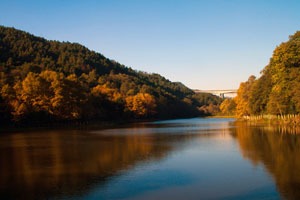 Guiyang has high forest coverage