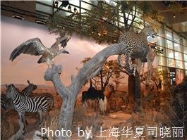 shanghai science and technology museum