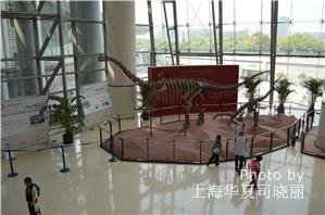 Shanghai Science and Technology Museum