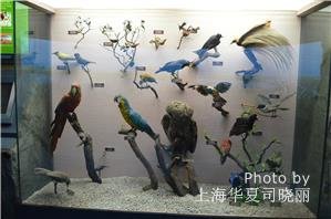 Shanghai Science and Technology Museum