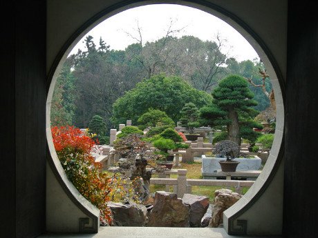 Bonsai Garden of Tiger Hill