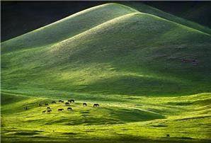 xinjiang