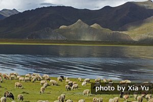 yandrok yumtso lake