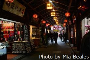 yu garden