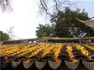 yuyuan garden
