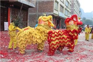 Chinese New Year Activities in Beijing in 2016