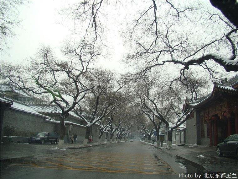 forbidden-city-snow
