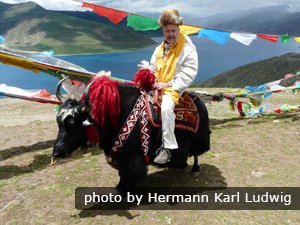 Yak