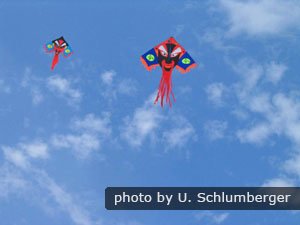 Kites in the sky