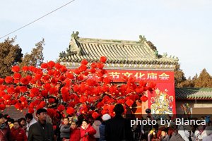 Chinese New Year Activities