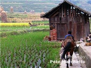 Guizhou Xijiang