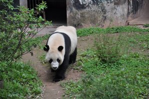 Guangzhou Zoo