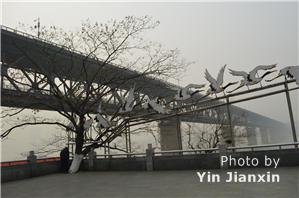 First Bridge Over the Yangtze