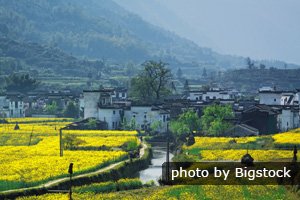 Wuyuan scenery in spring