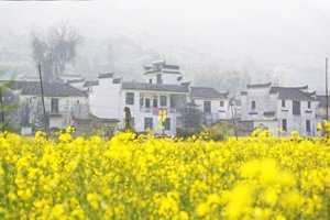 Wuyuan in spring