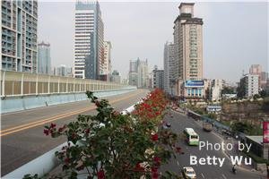Xiamen International Marathon