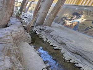 Ground Canal