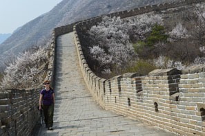 Flowers at Simatai Great Wall