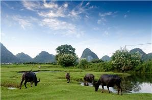 Yangshuo