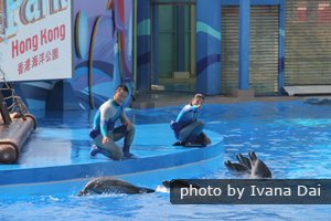 Ocean Park