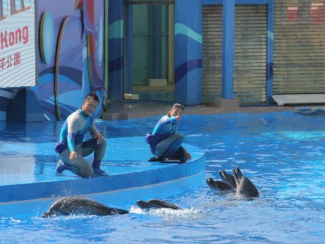 Ocean Park