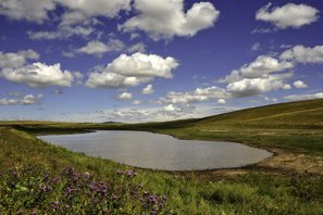 Hulunbuir Grassland