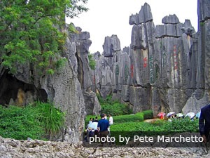 Stone Forest