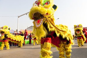 Lion Dances