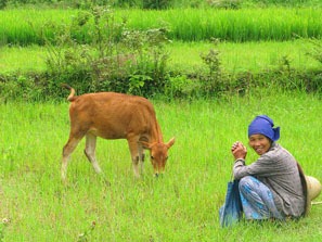 Rural Guilin