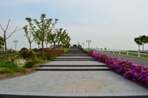 Chongming Island