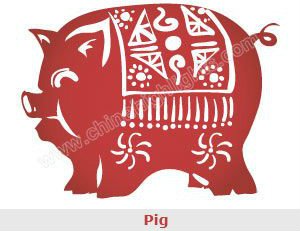 Pig