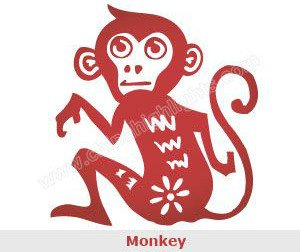 Monkey