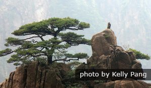 yellow mountain