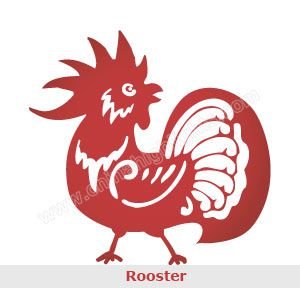 the rooster
