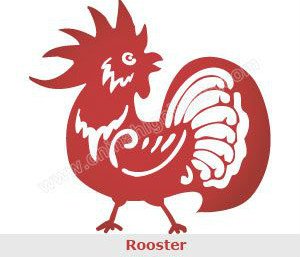 Rooster