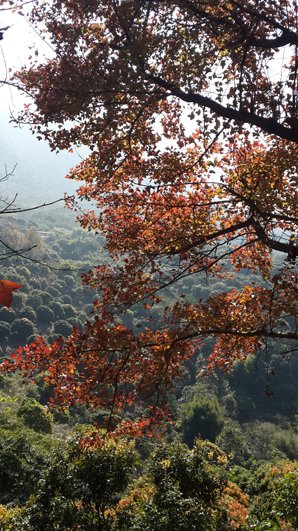 Shimen National Forest Park