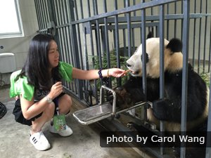 Dujiangyan Panda Base